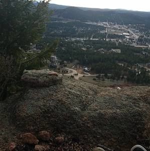 Meet your Posher, Cayden